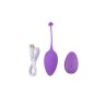 Vibrating Egg Remote Control Sweety Teaser USB 57