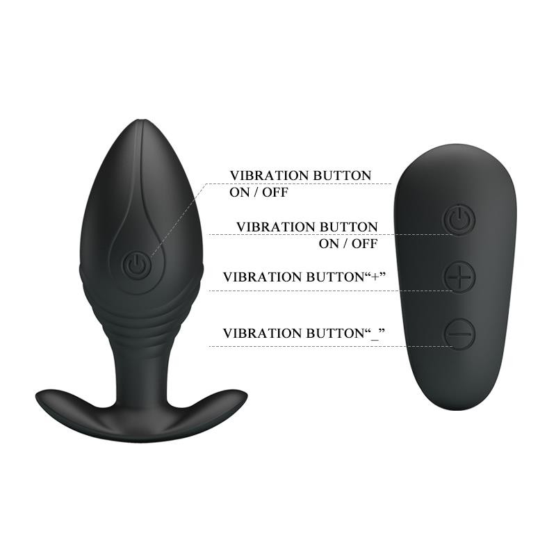 Regina Royal Butt Plug with Remote USB