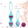 Ceyla Kegel Balls Set Silicone