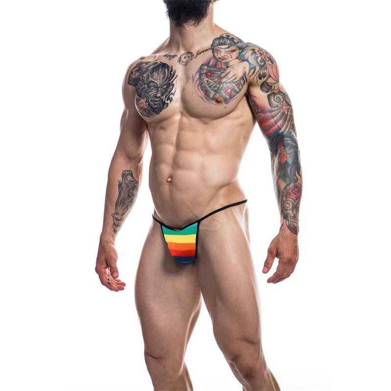 C4M12 Briefkini Rainbow