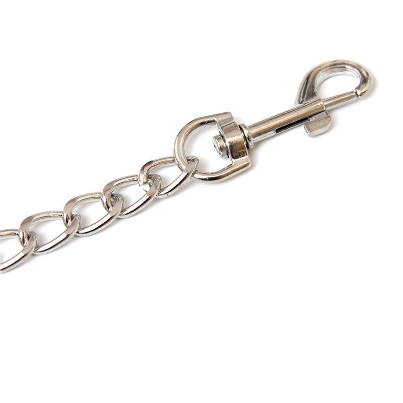 Metal Chain Leash