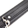 Snake Pattern Collar with Leash