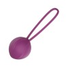 Leigh Kegel Ball Silicone Purple