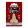 Growing Testicle 4x3 cm