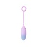 Vibrating Egg with APP Double Layer Silicone Blue Purple