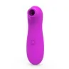 Modern Clitoris Stimulator 10 Functions Deep Purpl