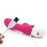 Vibe Dreamer II USB Rose Red