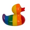 Rainbow Squeaking Duck