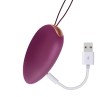 Garland 20 Vibrating Egg Remote Control USB Injected Liquified Silicone