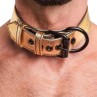 Collar with Leash Bondage Gold