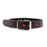 Collar with Metal Leash Black Red