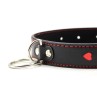 Collar with Metal Leash Black Red