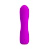 Sstimulator Beau USB Purple