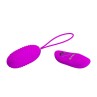 Vibrating Egg Joanna USB Purple