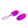 Vibrating Egg Joanna USB Purple