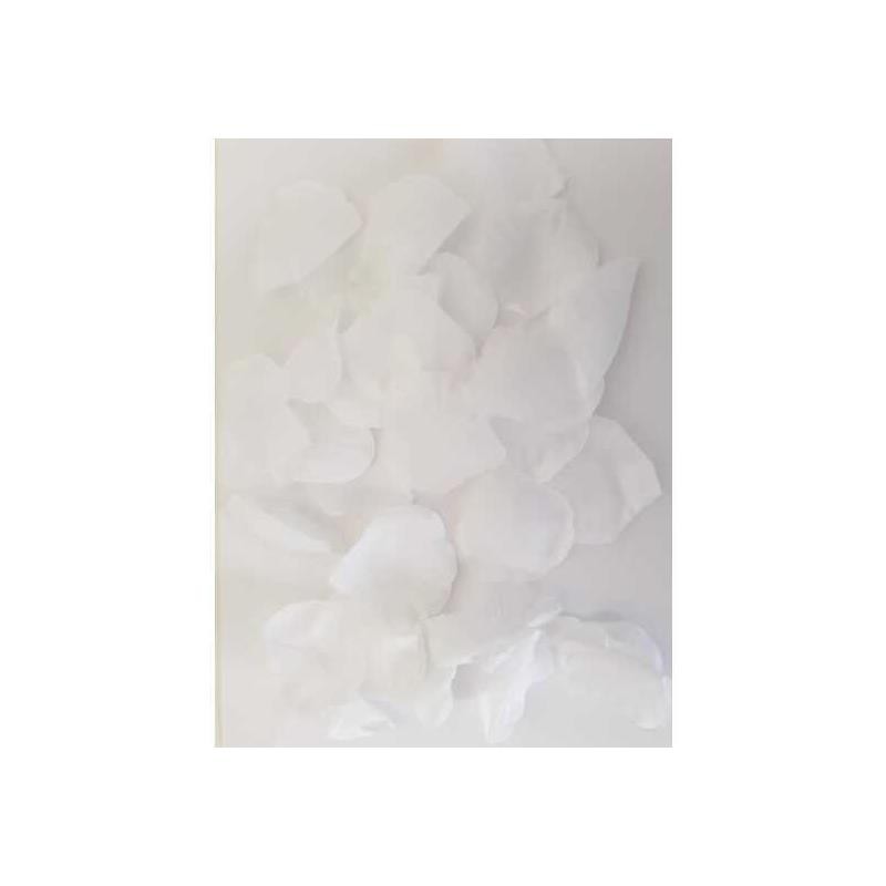 100 Petals White 100 Petals White