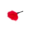 Small Tickler Red