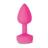 Gkit Set GPlug and G Ring Sunny Raspberry